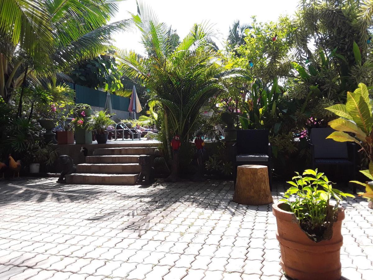 קלוטארה Karl Holiday Bungalow מראה חיצוני תמונה