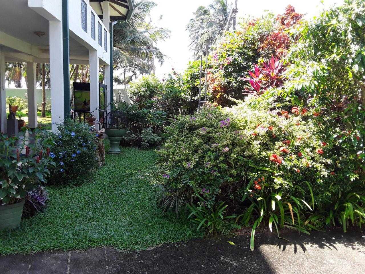 קלוטארה Karl Holiday Bungalow מראה חיצוני תמונה