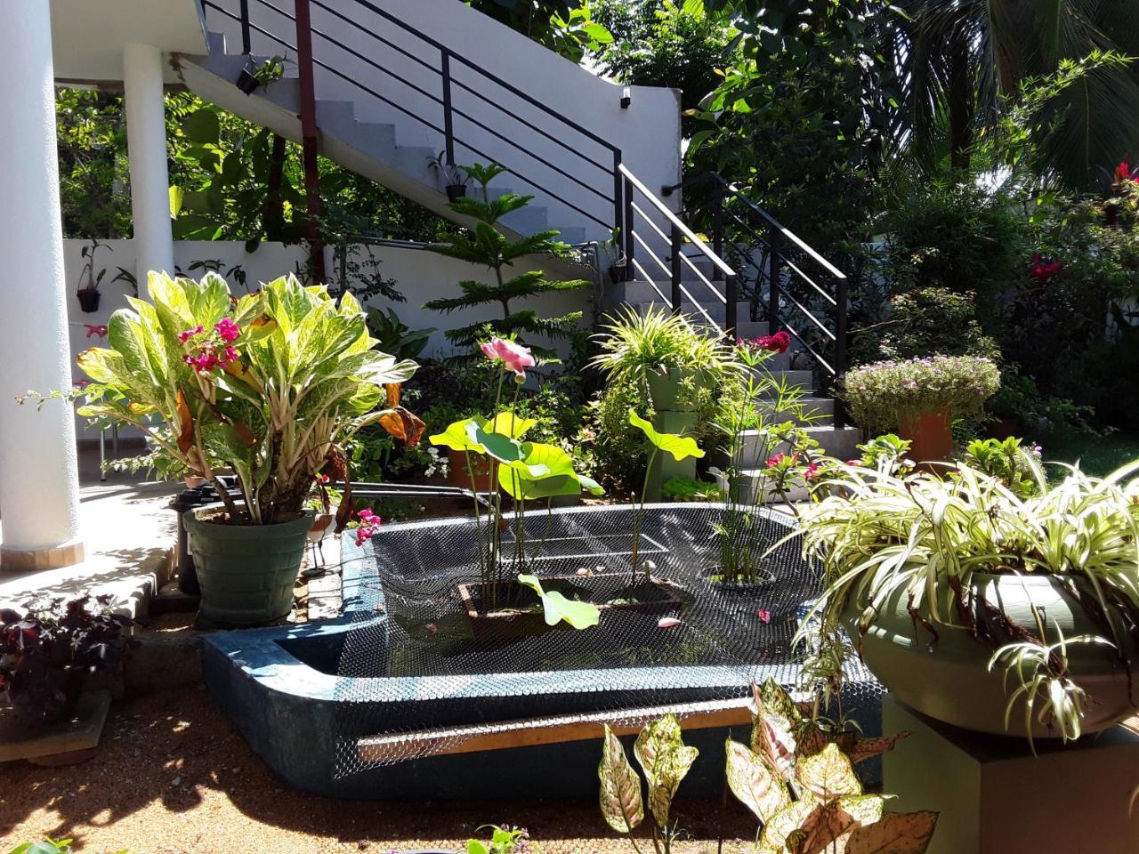 קלוטארה Karl Holiday Bungalow מראה חיצוני תמונה
