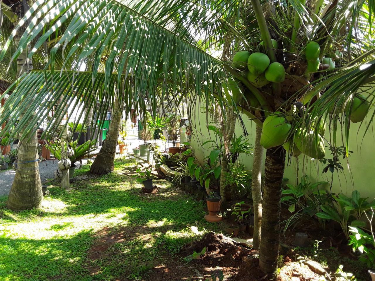 קלוטארה Karl Holiday Bungalow מראה חיצוני תמונה