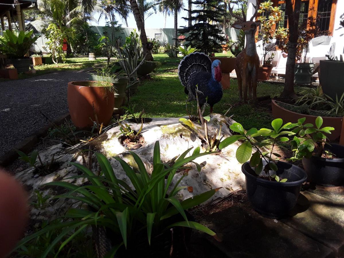 קלוטארה Karl Holiday Bungalow מראה חיצוני תמונה